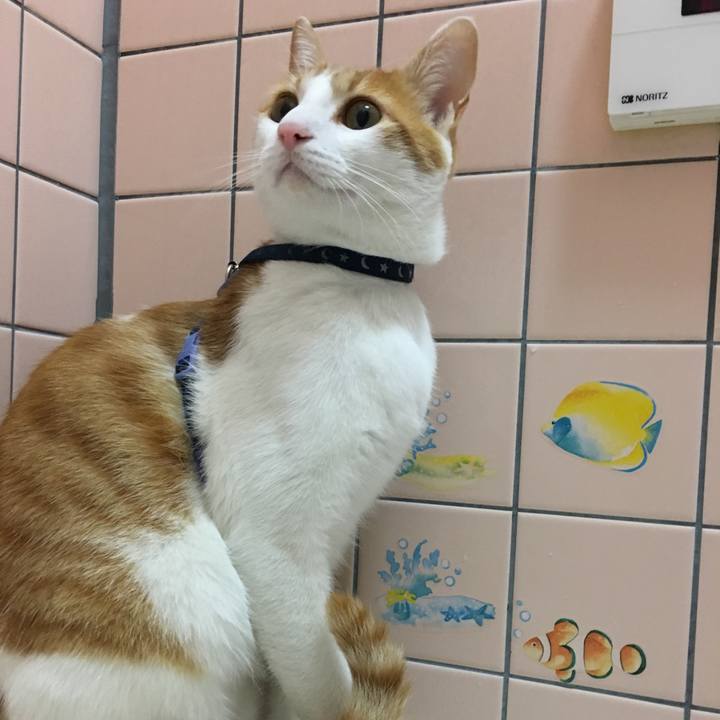 C6e636ac 40a2 4c5d a16b 685a21b8159b