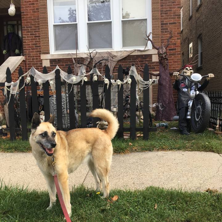 C6e65c15 0986 405f 8de9 e5b232668dae