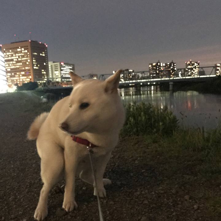 C6e69d66 43ba 4c9b b394 ffacc91489c7