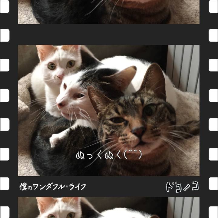 C6e75022 fb8d 4cdf b637 e641d2269adc