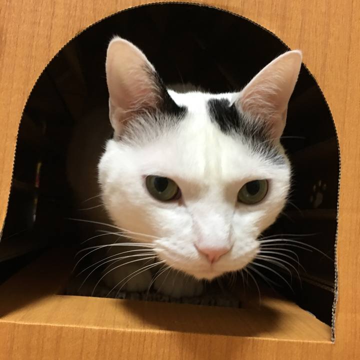 C6e75117 0ab7 4a7b b20a e9d99d0bc629