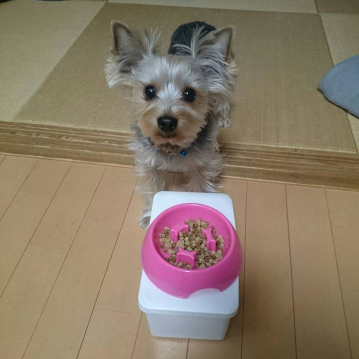 C6e76b54 9cd0 421e ace4 727981730e41