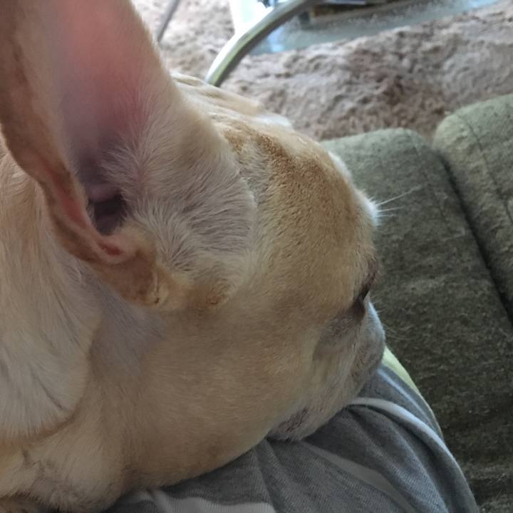 C6e7796b 07df 4e8a 8c6e 9283e4509170