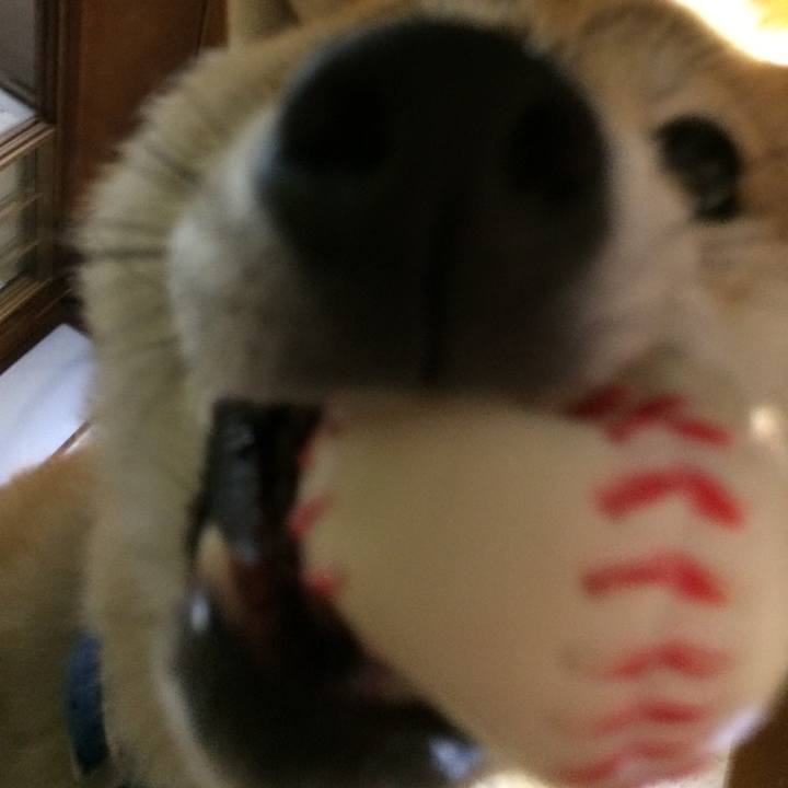 C6e7ee0d a235 4891 afd6 3805b053f36a