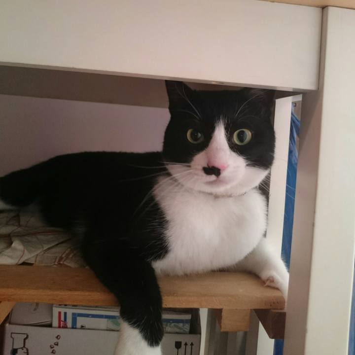 C6e802b2 dc0d 4d28 acf5 96253e79e858