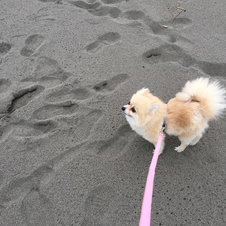 C6e82cef 3775 4c15 a366 701916ef4701