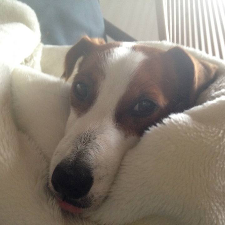 C6e900f6 cdfd 4708 b679 f7defec11374