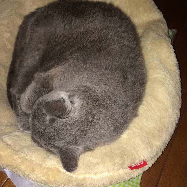 C6e90342 68c4 4fa4 adb8 ede0155abd77