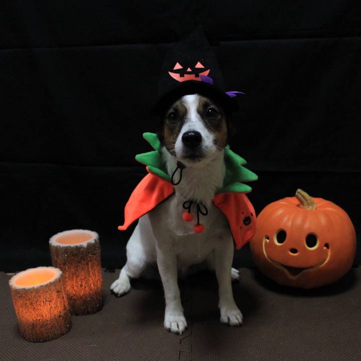 C6e91458 607a 4277 a0ac 5b8d85b68119