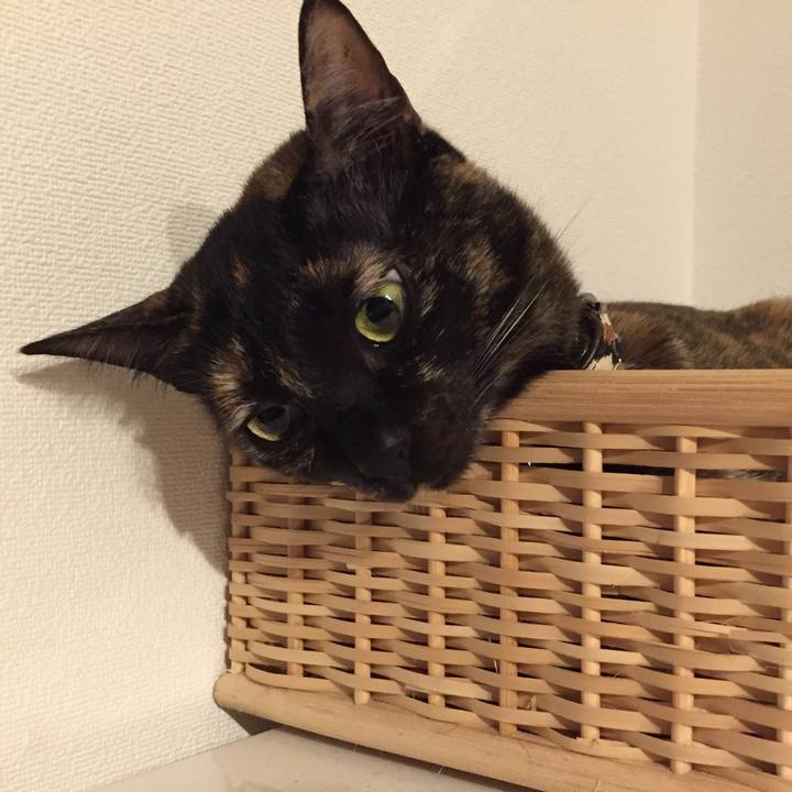 C6e9d50a 00b1 484b af79 7e45e40518d3