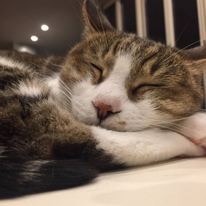 C6e9db18 6224 495a 8943 6e0492d8b264