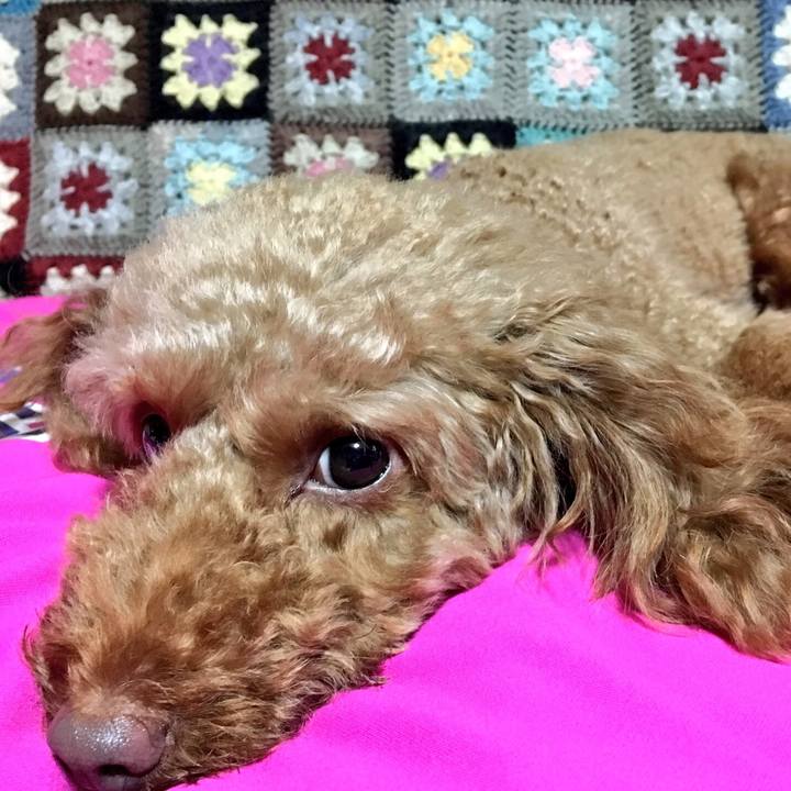 C6ea0d03 b893 43a5 9172 1748b5074c5a