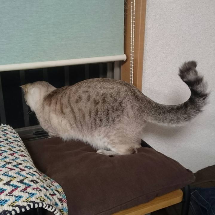 C6ea8015 1b7a 4284 8098 650f412c971a