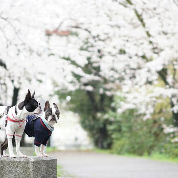 C6eadf18 ac55 44f0 8e17 30740bae1be1