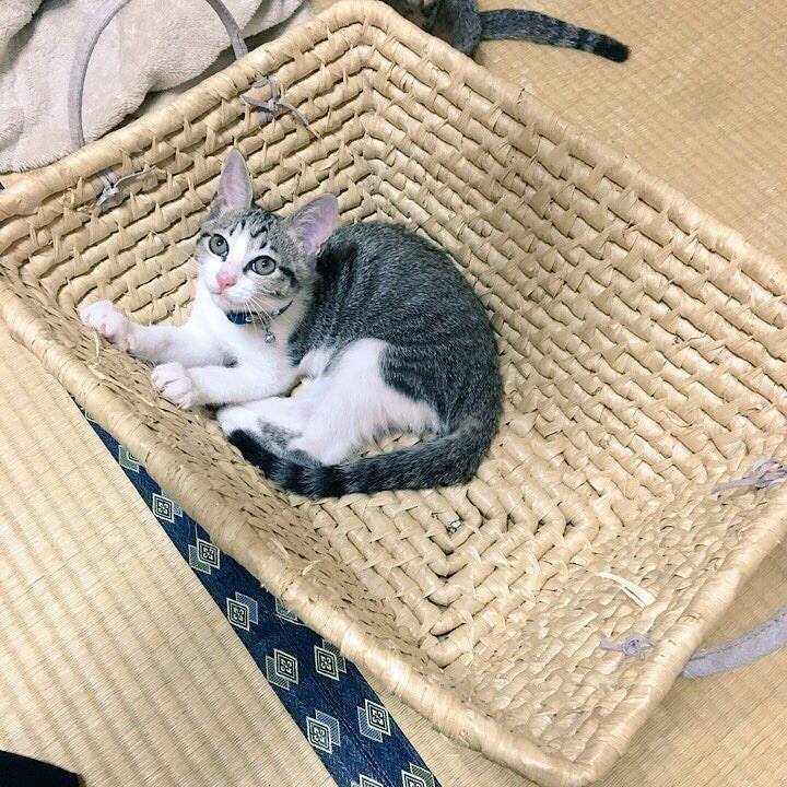 C6eae359 6912 4d81 96f0 23d91bfc5759