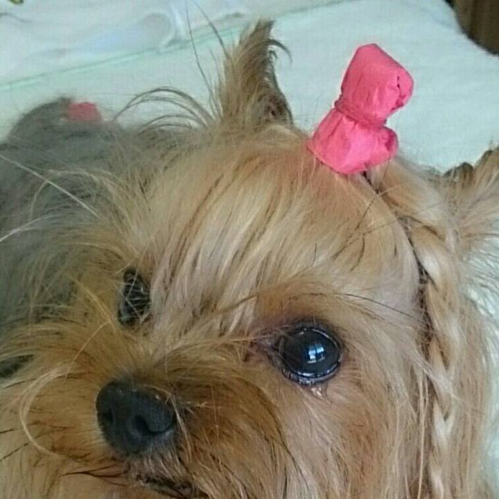 C6eafee7 65d8 401e b2bd 74116c17595a