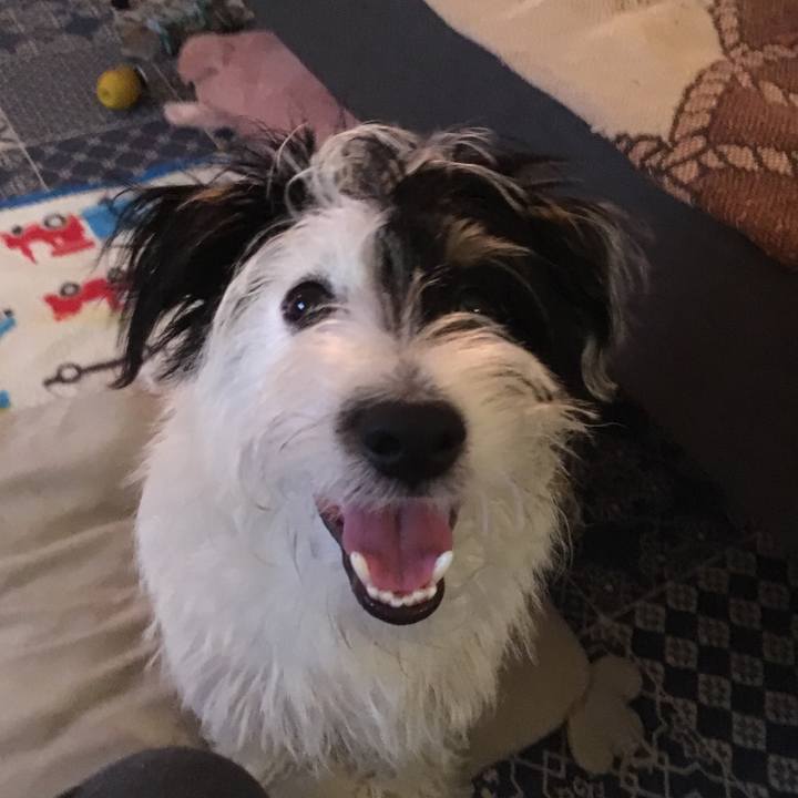 C6eb5fbb 9e24 42cf 8fed c3601c342388