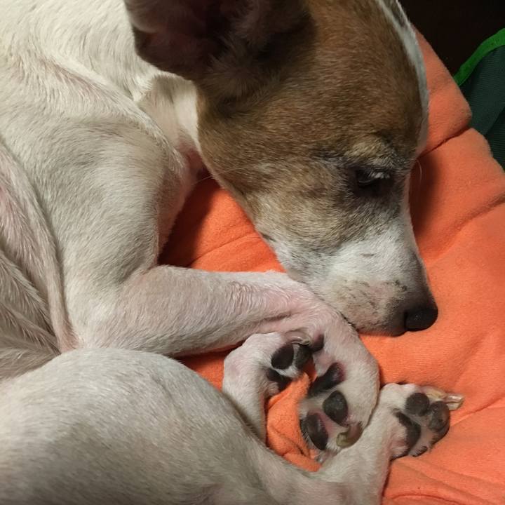 C6eb66ff 95a7 48a5 8c40 be251ba461f2