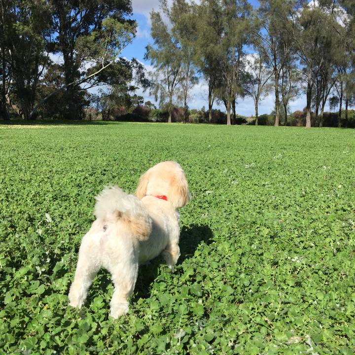 C6ed4941 f0e1 4592 82dc df79b517b26b