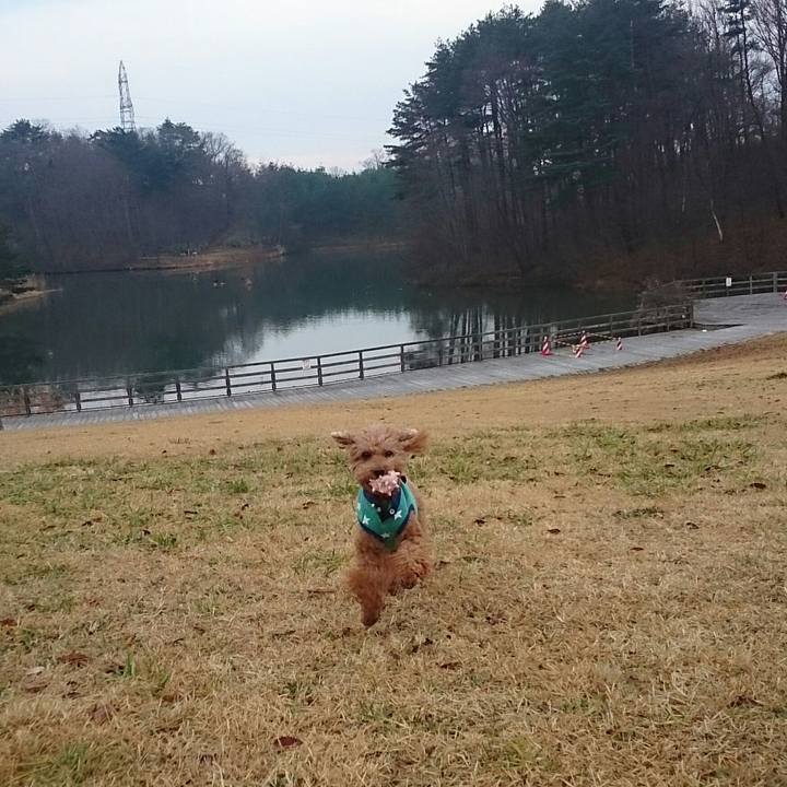 C6ed7e05 d997 4065 a43a c0f481ac8e96