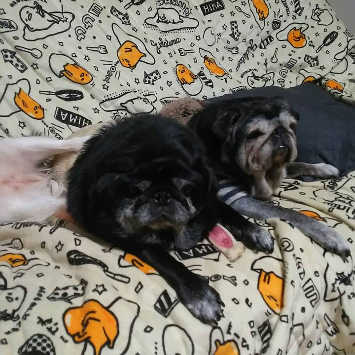 C6ef1ae9 084c 475b bf53 57a5b4ebb159