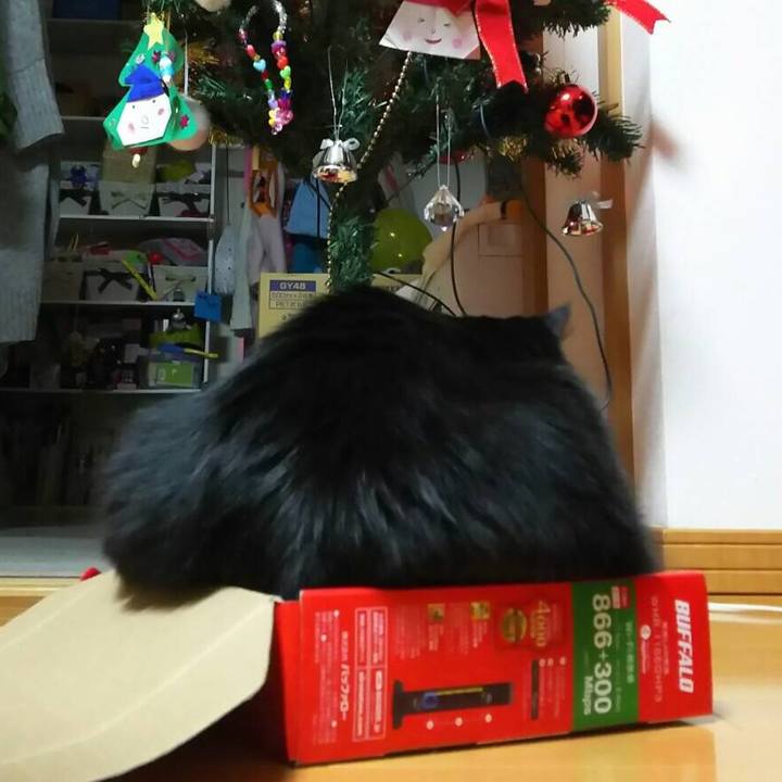 C6ef8930 8047 4bb5 abf6 3b3bd70bbdfd