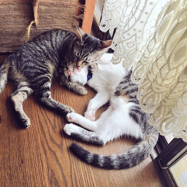 C6f070f0 27d9 4aa4 be87 6c942d01e8f5