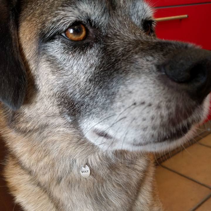 C6f0cff6 ace8 4074 ad1b 38644afdc647