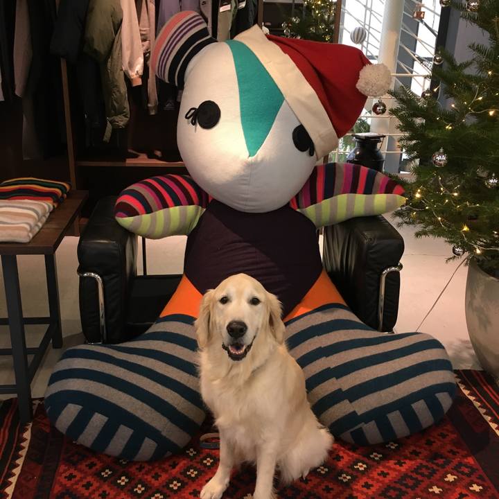 C6f0fd9d 90a0 4443 bc4d f05f96b05ebd