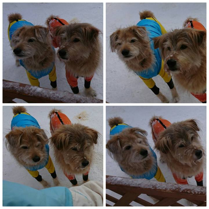 C6f145ca f236 4905 a871 5f727d848fc4