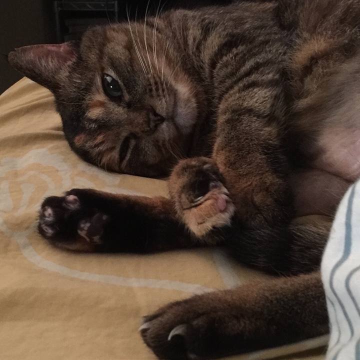 C6f19ad8 f3d6 44c6 a915 1fe56700d77a