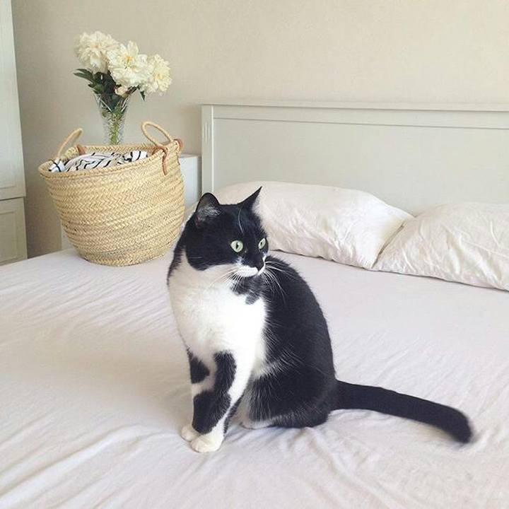 C6f4d58b a2ee 471c b68b 9727e71ba440