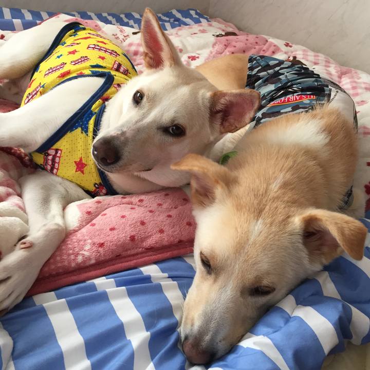 C6f4fe5e f036 411b 94a7 031470e01b54