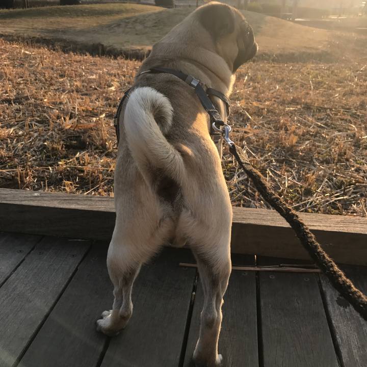 C6f546ee 9b9c 40bf bac1 c5cdfad51da2