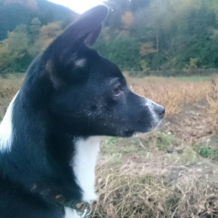 C6f548ff 35b1 42fb a90f 1fd93dce5fa8