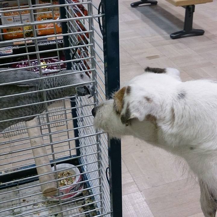 C6f62f62 9010 4212 9a43 638519cb546b