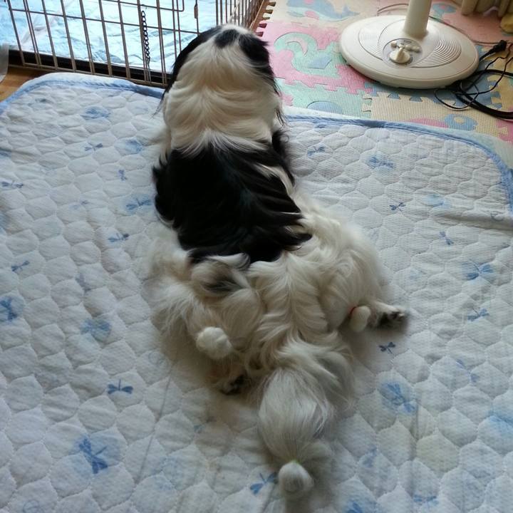 C6f6a89f ebbc 4be0 bc28 5521534ec1d0