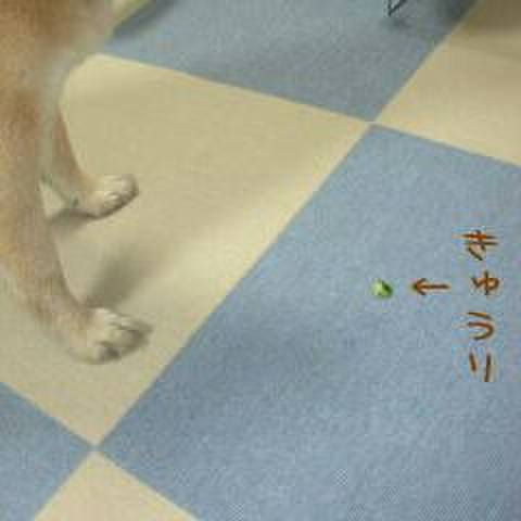 C6f6df65 8780 4880 8635 9b703b15900c