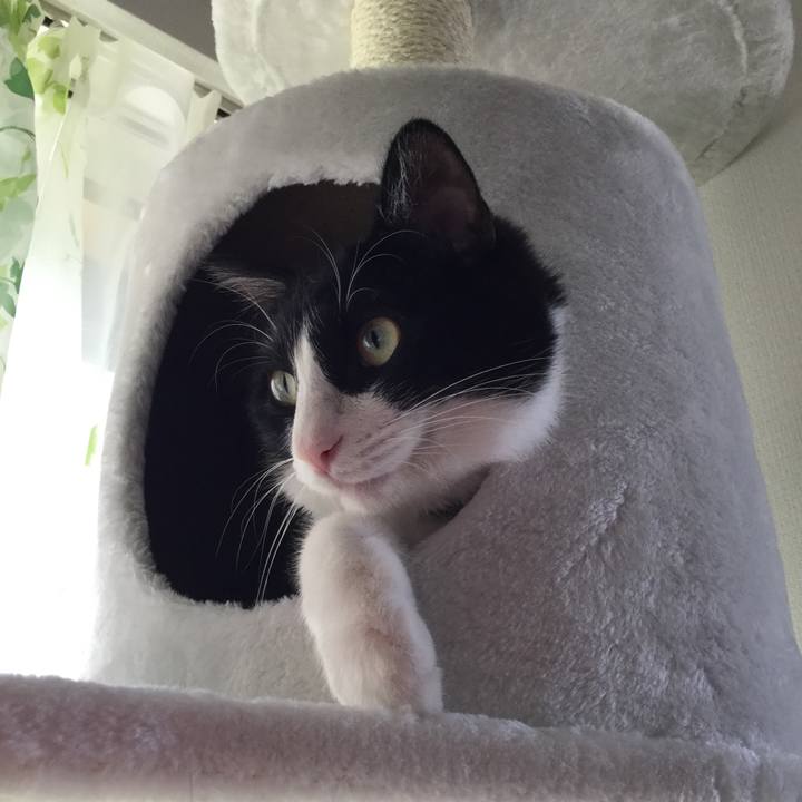 C6f85938 a613 4b44 a83a 22a82f22a59d