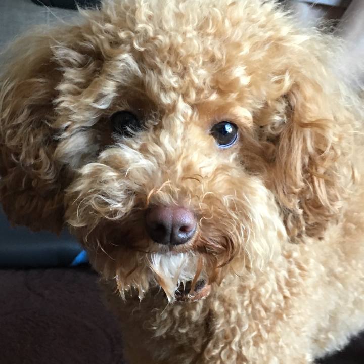 C6f8595d 5ff1 4584 9739 78399d70bc07