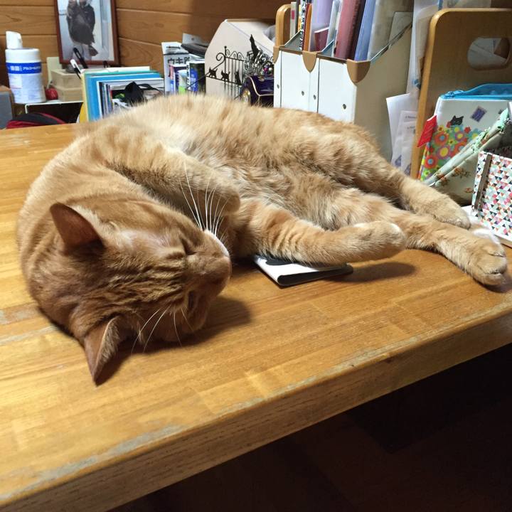 C6f88ce3 b6b9 4820 b4d5 c78f51bfa26b