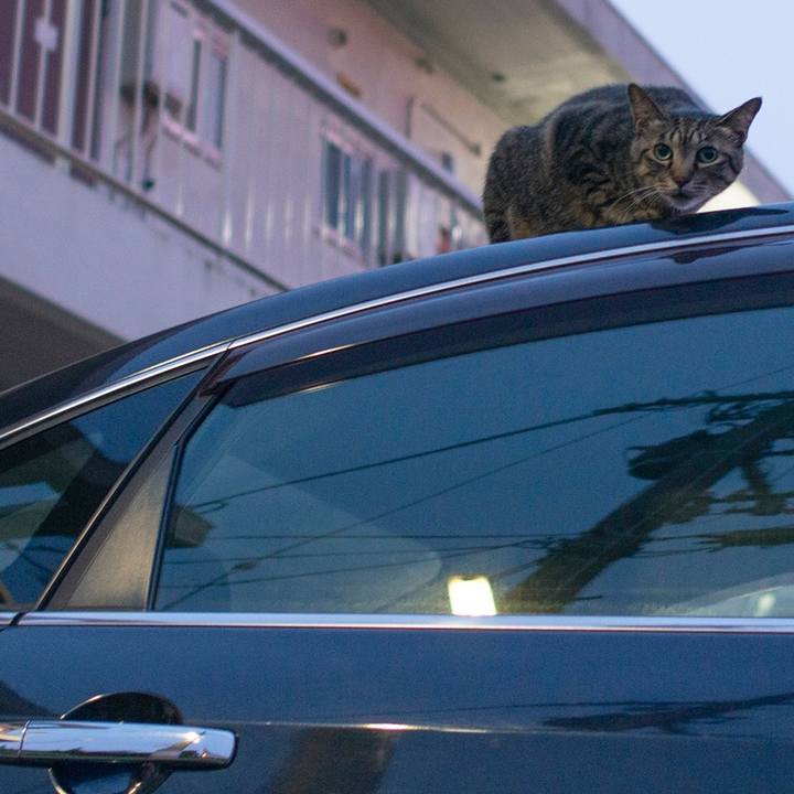 C6f98acf 171e 4ac4 9713 93ed2b46f81d