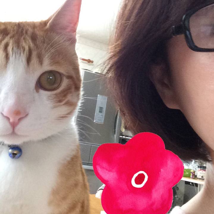 C6f98d72 f104 42e7 9bbf 5e29e8f944b1