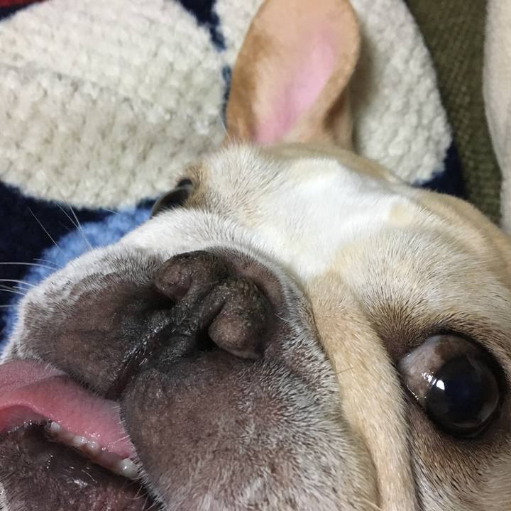 C6f9e447 9aa4 44dc 94d3 c3441a20b091