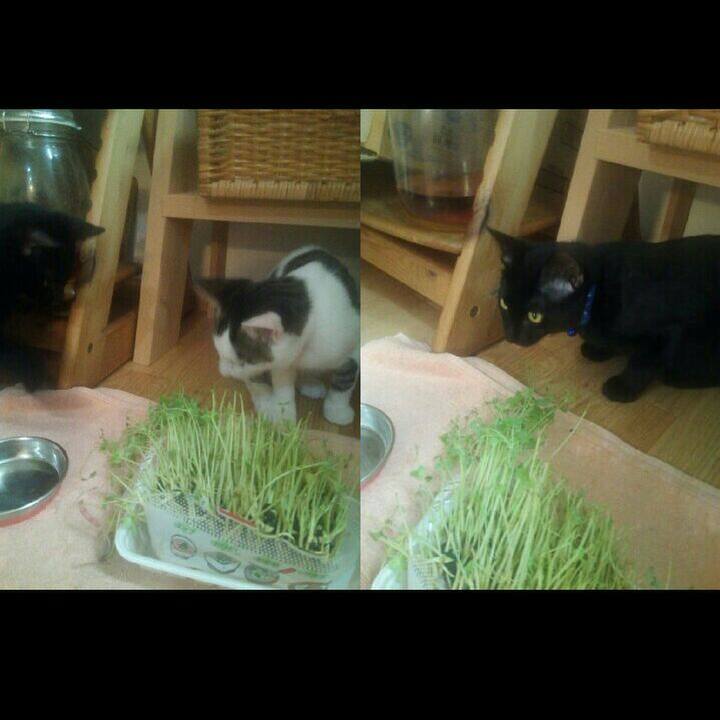 C6fb6f5b c080 46b9 96e7 8887b829d50c