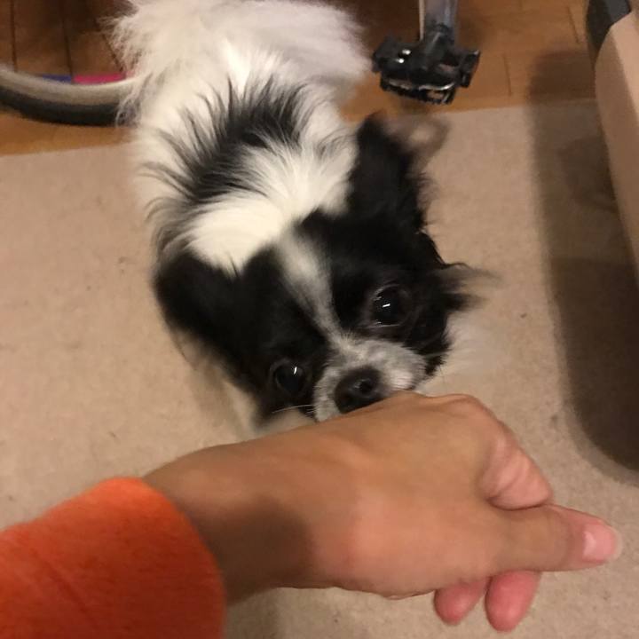 C6fc9b5f 101f 48e1 8d16 5ae56f0fc111