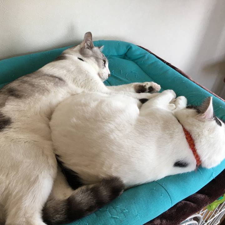 C6fcdedb 8886 4ed0 b08d 1ac32edc0e6e