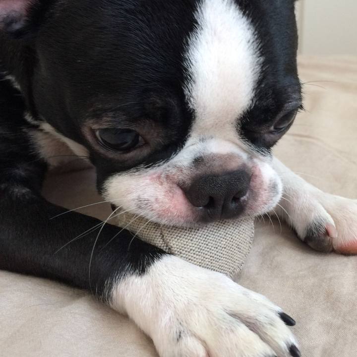 C6fd314f df3c 45a2 b630 285fd9c2fcb5