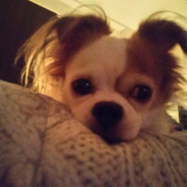 C6fd6ca7 a2e0 4d54 85a1 b3a9fc2860dc