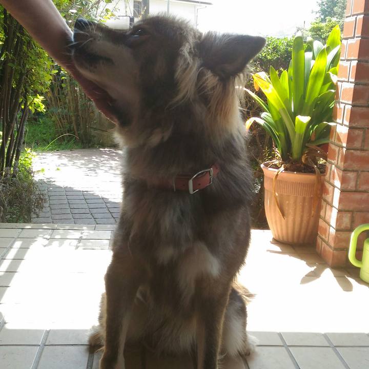 C6fd794a 1930 41da b701 3f0d5f9302fc